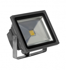 Reflector Led 30W 5